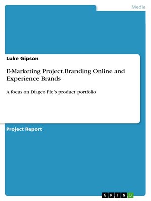 cover image of E-Marketing Project,Branding Online and Experience Brands